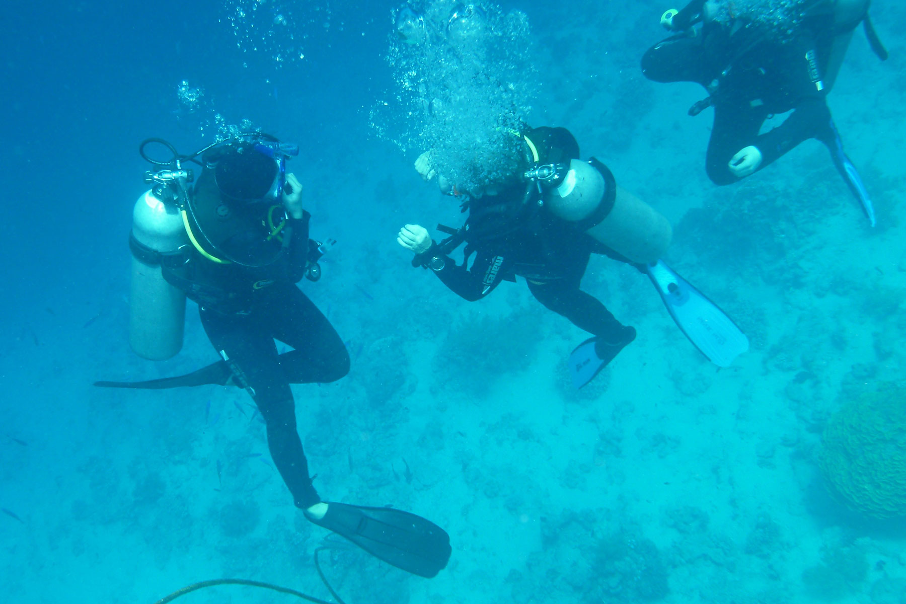 scuba diving 6